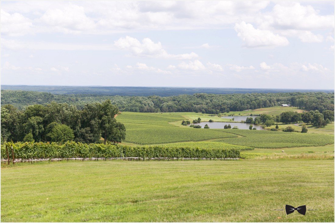 Trump winery wedding view over vineyard