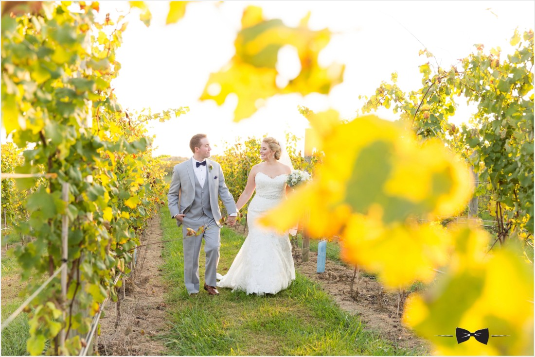 Crosskeys Vineyards Wedding - bride and groom in vineyard