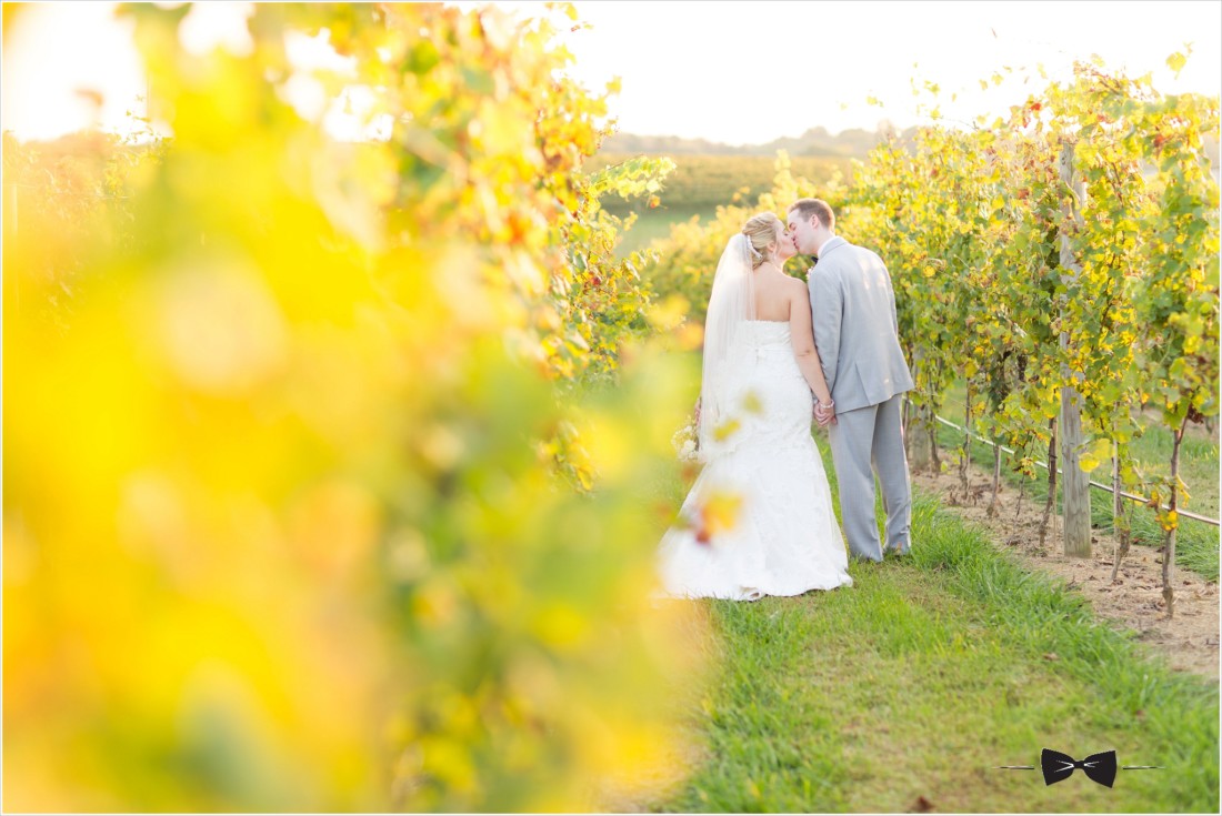 Crosskeys Vineyards Wedding - bride and groom in vineyard